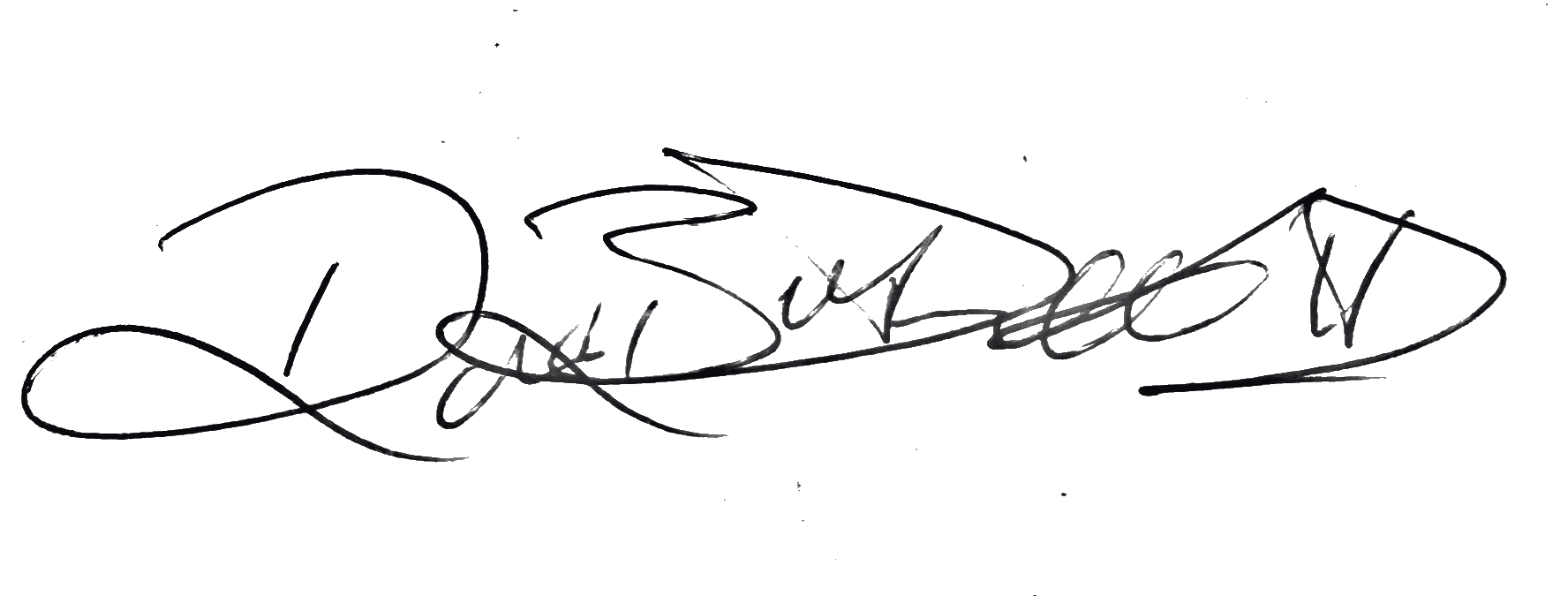 Signature of David Bruce McDermott II